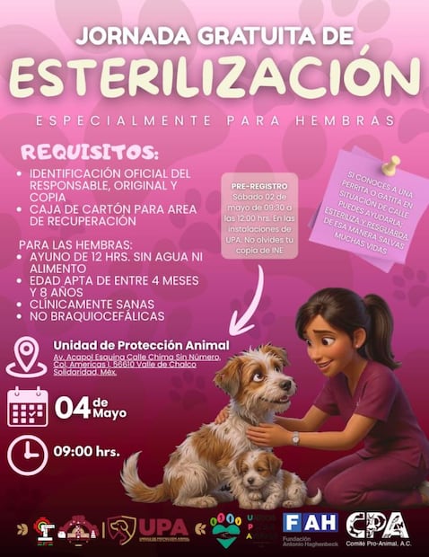 Imagen: Especiales (Jornada gratuita de esterilización)