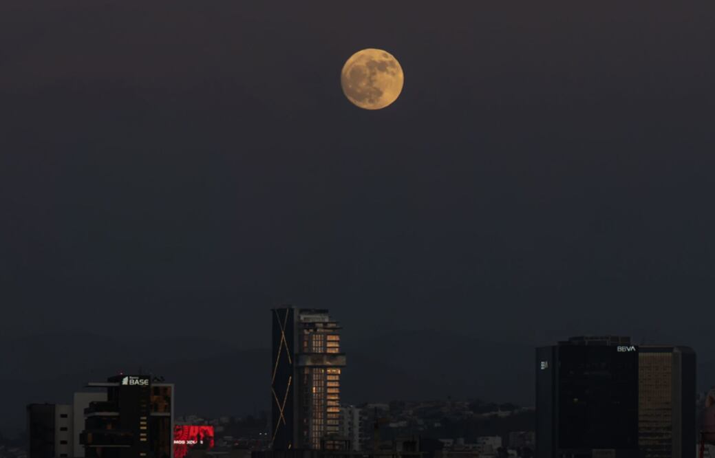 Luna (Foto: Cuartoscuro)