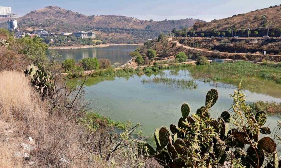 Las aguas negras contaminan la presa