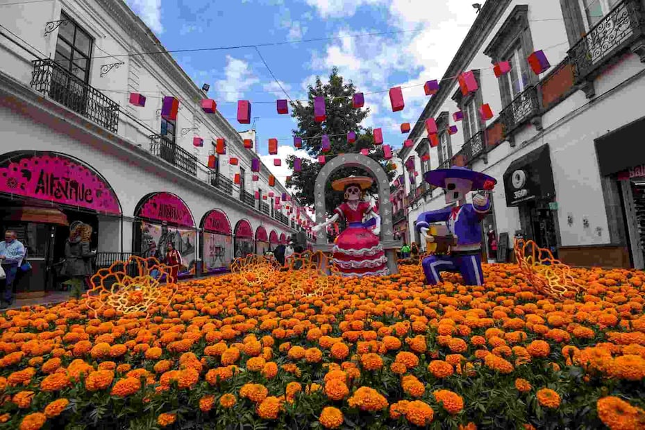 La mejor fecha para comprar cempasúchil y que dure fresco hasta el 2 de noviembre. Foto: (Cuartoscuro)