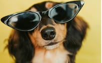 ¿Cómo elegir los mejores lentes de sol? Guía para proteger tus ojos y evitar riesgos en época de calor