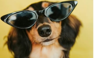 ¿Cómo elegir los mejores lentes de sol? Guía para proteger tus ojos y evitar riesgos en época de calor