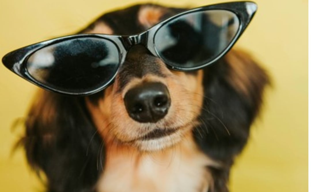 ¿Cómo elegir los mejores lentes de sol? Guía para proteger tus ojos y evitar riesgos en época de calor. Foto: (Unsplash)