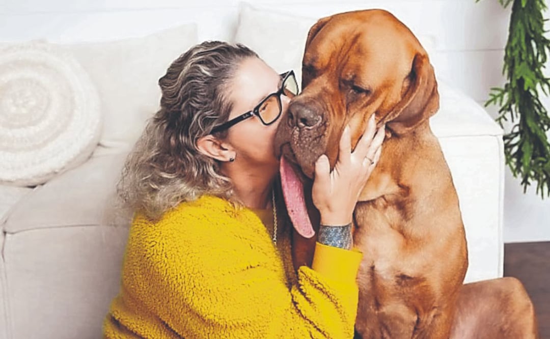 Ozzy es el perro con la lengua más larga del mundo y come un kilo de croquetas al día. Foto: (Guiness World Record)
