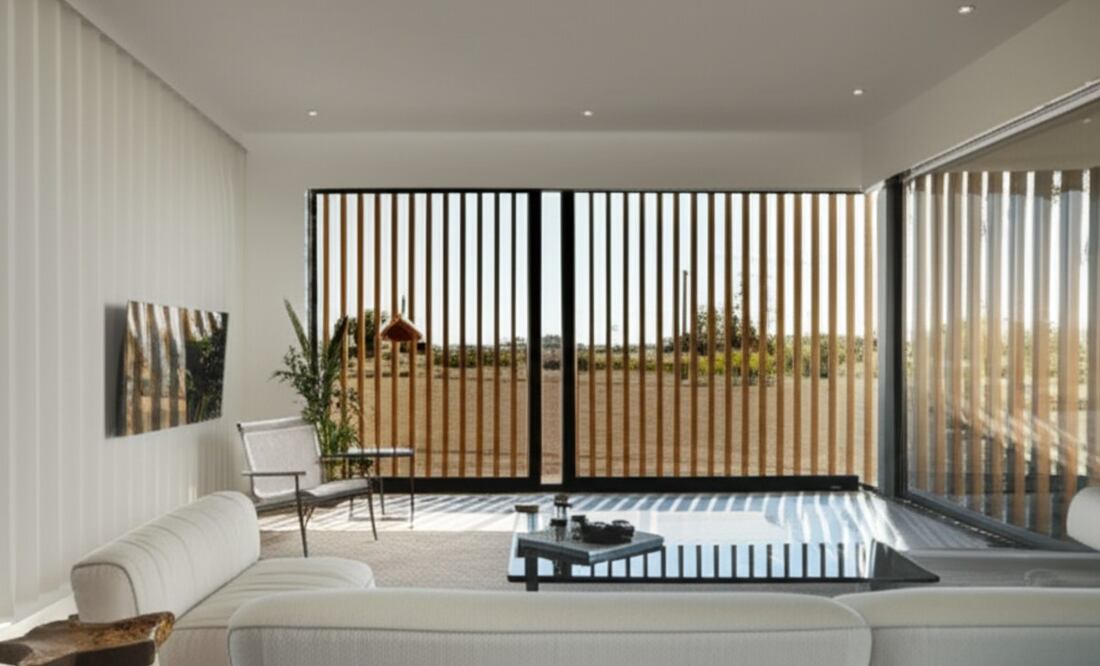 Imagen Ilustrativa: IA (¿Cómo eliminar las toxinas en casa?)