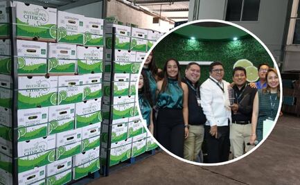 Rendimientos de 23.5 por ciento en agroinversión: Inversiones cítricas lidera el mercado