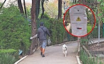 ¡Indignación en la Condesa! Envenenan a perros y dejan comida mortal en el Parque España