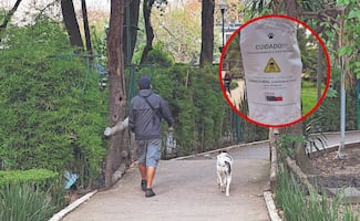 ¡Indignación en la Condesa! Envenenan a perros y dejan comida mortal en el Parque España