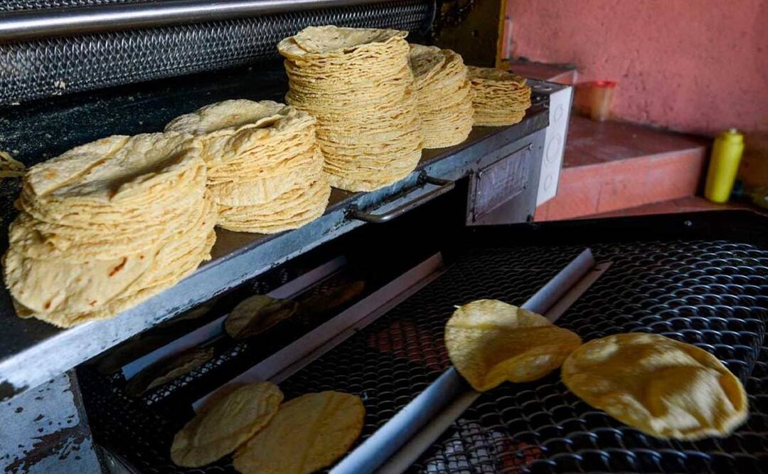 Estos productos transgénicos son los que compras cotidianamente tal vez sin saberlo