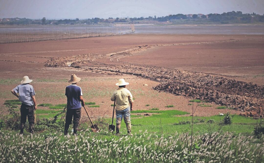Dos mil millones de personas viven sobre suelos que se están hundiendo
Imagen: Archivo