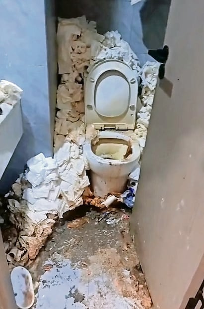 Gamer (Foto: The Sun)