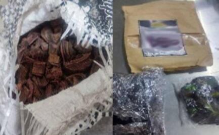 Terror en el AICM: Confiscan un cráneo junto con sustancias psicotrópicas