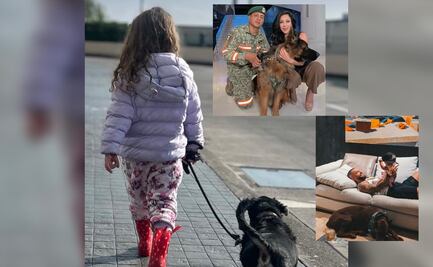 Día del Perro: Celebridades presumen a sus lomitos ¿Son tan famosos como ellos?