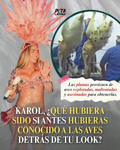¡Le sacan las plumas a la Bichota! PETA Latino arremete contra Karol G
Foto: Redes Sociales