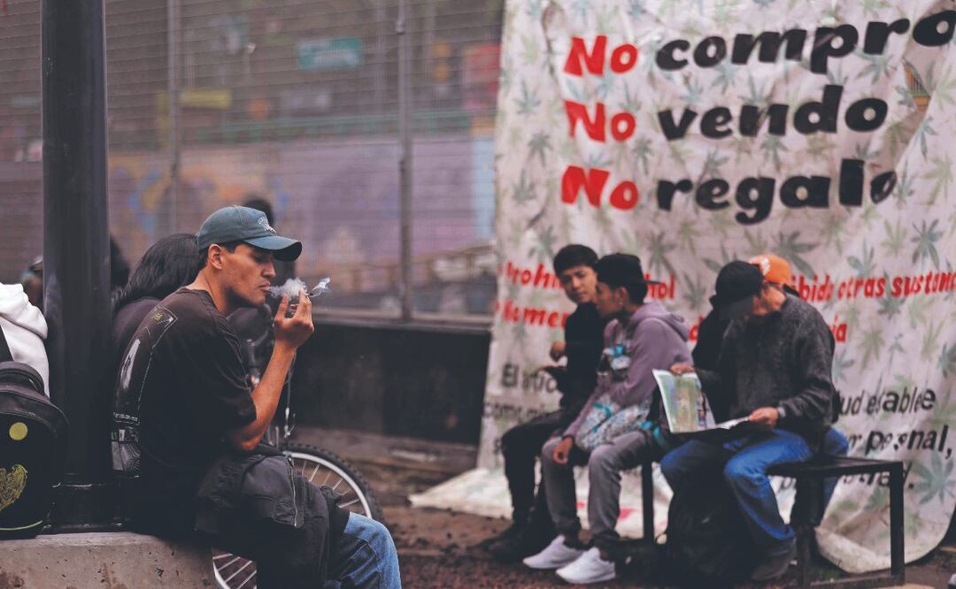 Espacios 420 CDMX. Foto: (Diego Simón. El Gráfico)