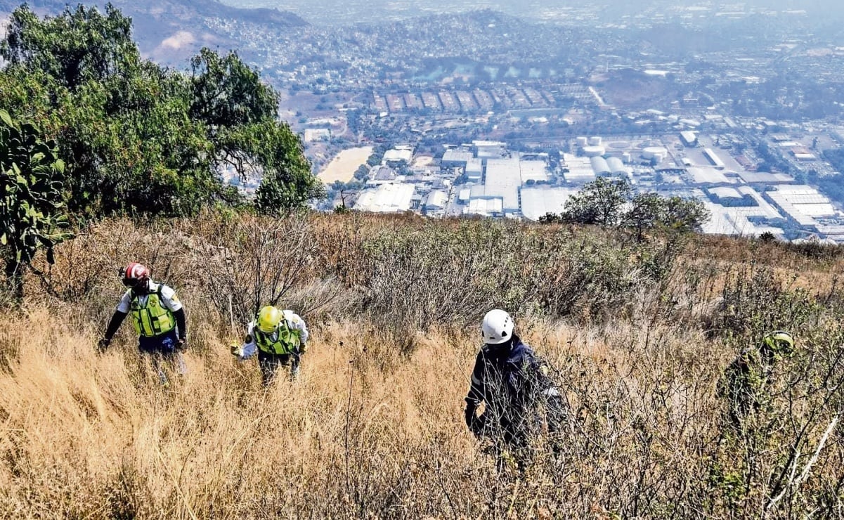 ¡De terror! Hay tres zonas en la CDMX donde se realizan búsquedas semanales de personas 