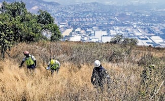 ¡De terror! Hay tres zonas en la CDMX donde se realizan búsquedas semanales de personas