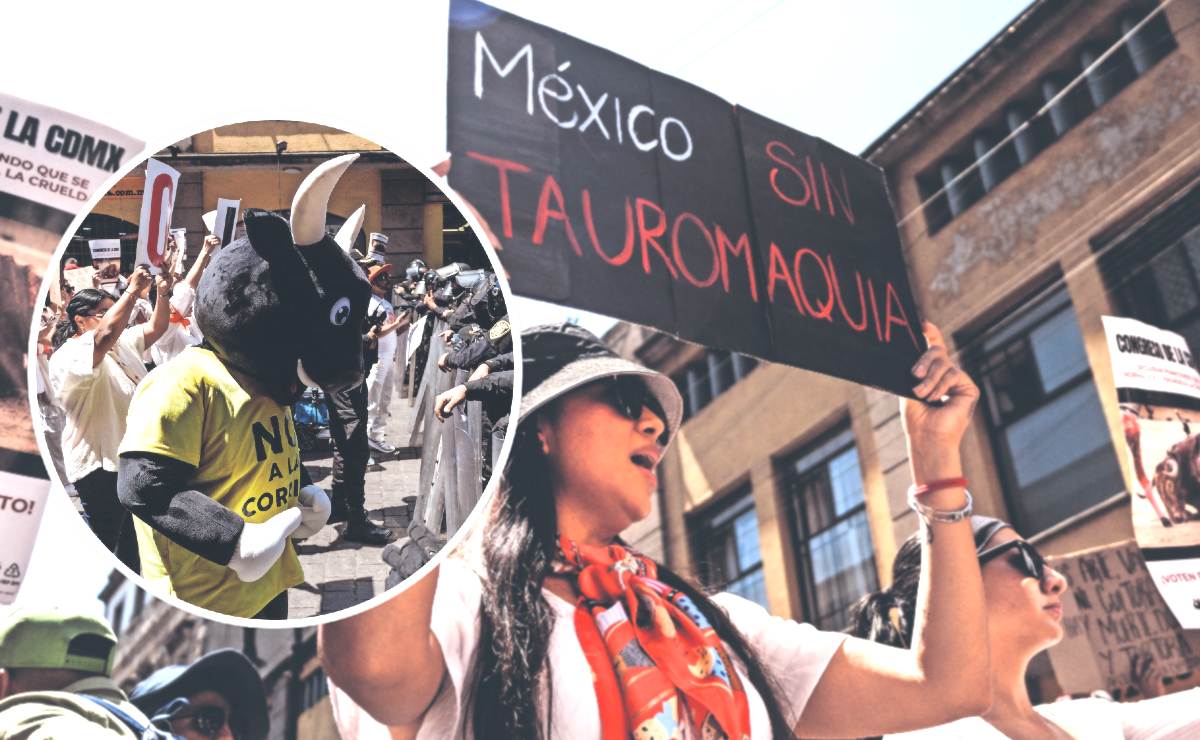 Ley antitaurina: Votarán prohibición de corridas de toros en CDMX este ...