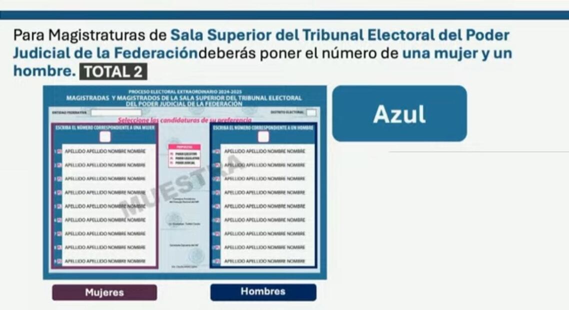 Boleta Azul (Foto: Sergio trejo)