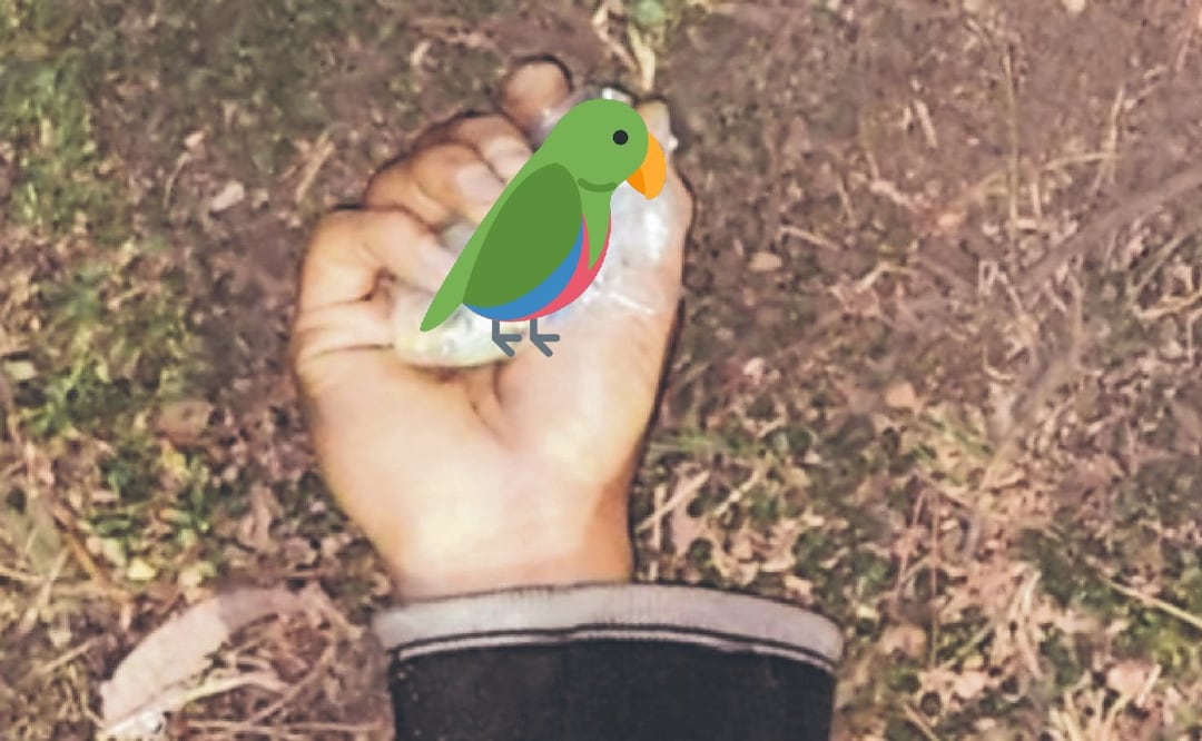 Ejecutan a dealer en calles de Xochimilco, en su mano quedaron varias dosis de perico