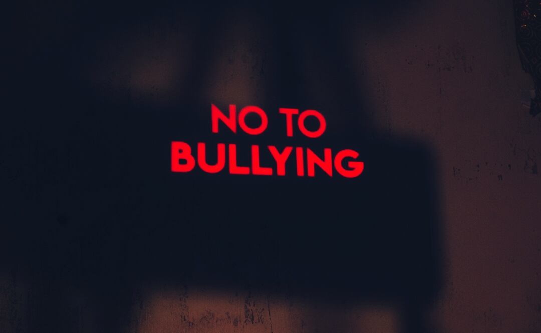 Por hacer bullying niña de secundaria está tras las rejas mientras la afectada falleció 