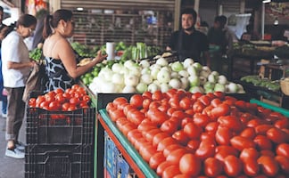 Consumidores en CDMX sufren para encontrar jitomate bueno, bonito y barato 