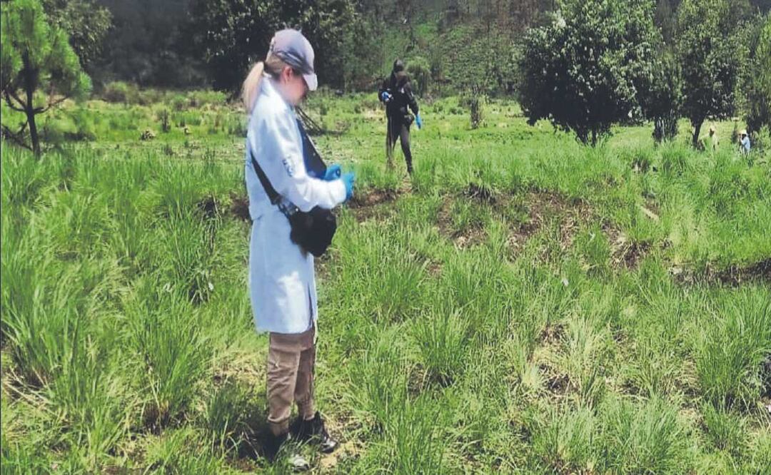 Encuentran un hombre sin vida y sin pantalones en Tlalpan 