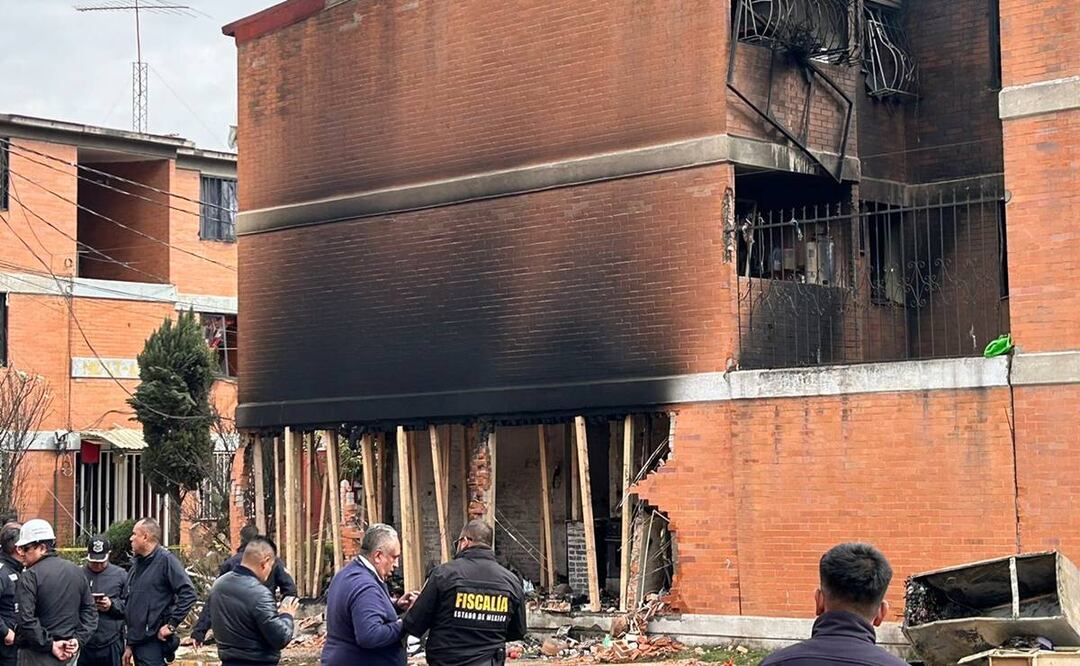 ¡Vuelven con su humana! Tras estallido en unidad, michis regresan a casa