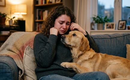 ¿Los perros pueden sentir cuando estamos tristes? Esto dice la ciencia