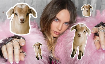 Belinda presenta a Flora, su cabra bebé: ¿es legal tener una en casa?