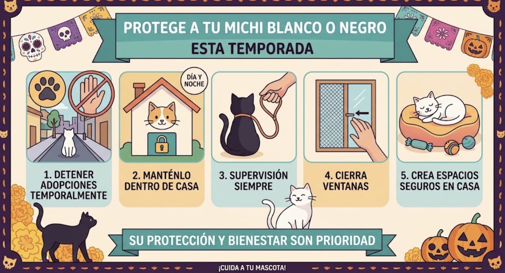 Recomendaciones para cuidar a tu gato blanco o negro en época de Halloween (Foto: Creada con IA)