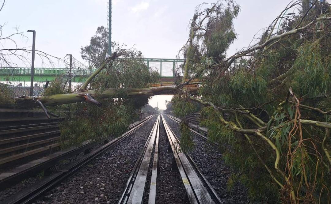 MetroCDMX: Línea B sin servicio HOY 18 de septiembre, árboles bloquean la vía, rutas alternas