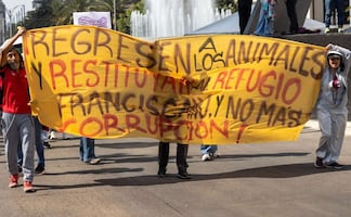 Protesta por perros del Refugio Franciscano, acusan maltrato tras traslado ordenado por autoridades