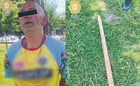Hijo de pe... golpea con un palo a cachorrita hasta causarle la muerte, en la Cuauhtémoc