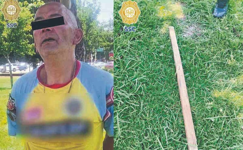 Hijo de pe... golpea con un palo a cachorrita hasta causarle la muerte, en la Cuauhtémoc