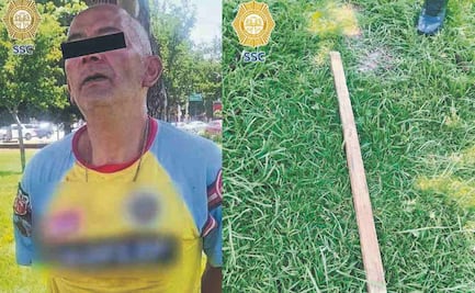 Hijo de pe... golpea con un palo a cachorrita hasta causarle la muerte, en la Cuauhtémoc