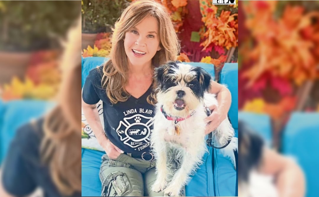Hacen operativo en campo de la actriz Linda Blair, revisan condiciones donde tiene casi 200 perros. Foto: Instagram