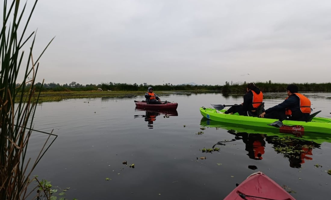 Xochimilco Oculto: ¿Dónde recorrer en KAYAK los canales de XOCHIMILCO?