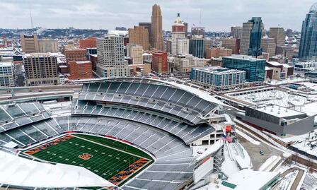 Bengals podría cambiar de jungla