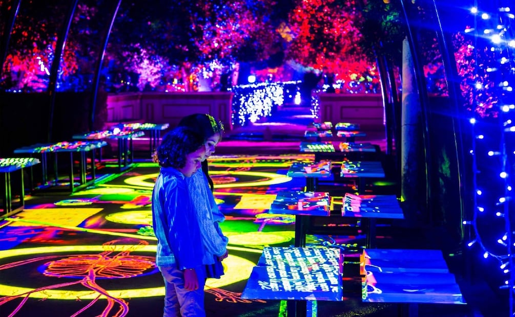 Costos, ubicación y todo lo que debes saber de la experiencia inmersiva de Alicia en el País de las Maravillas