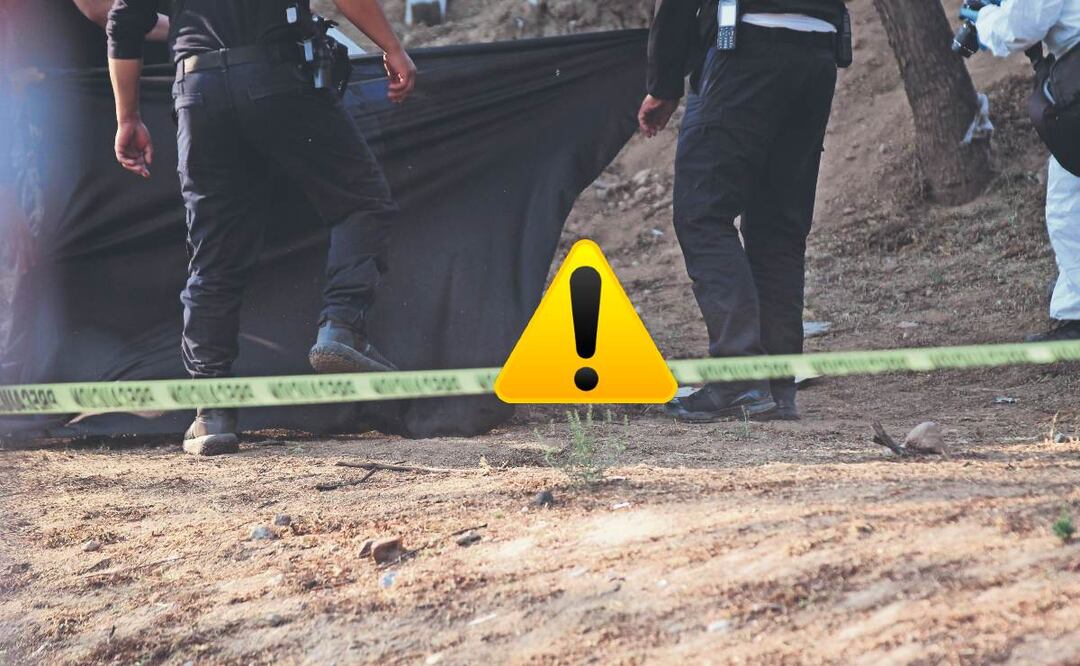 Lomito ladró hasta atraer atención de mujer quien encontró terrible sorpresa, en la GAM