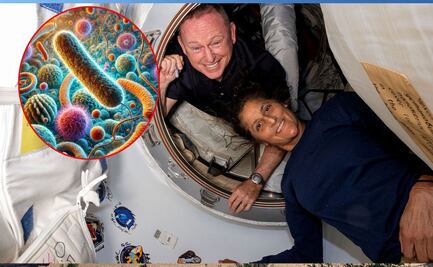 Astronautas en riesgo: la baja diversidad microbiana podría debilitarlos