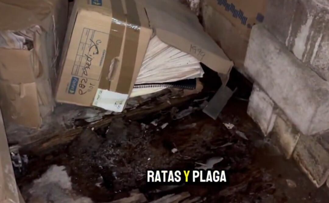 Combaten plaga de chinches, ratas y cucarachas en la Cuauhtémoc