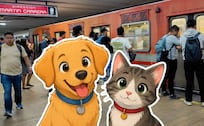 ¿Se puede viajar con mascotas en el Metro CDMX?