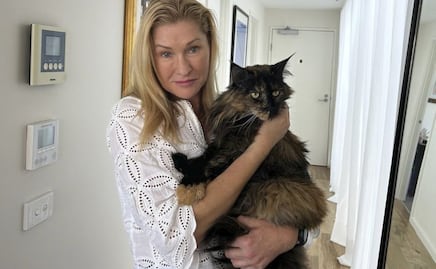 Olvidan a gatita en avión y la obligan a hacer tres vuelos en 24 horas 