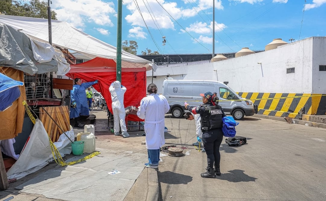 Un hombre de aproximadamente 25 a 30 años murió tras ser atacado por un perro en las inmediaciones de la salida del Metro Indios Verdes, sobre el andén K, en la colonia Residencial Zacatenco, alcaldía Gustavo A. Madero. Foto: Osmar Alvarado / EL GRÁFICO