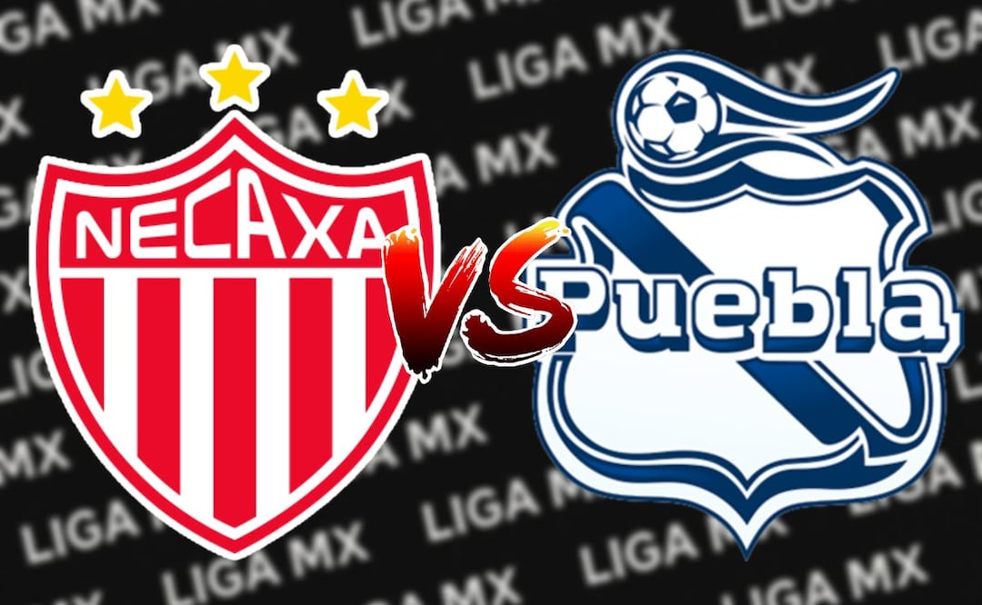 Necaxa vs Puebla: ¿Dónde y a qué hora ver EN VIVO?. Foto: (Especial)