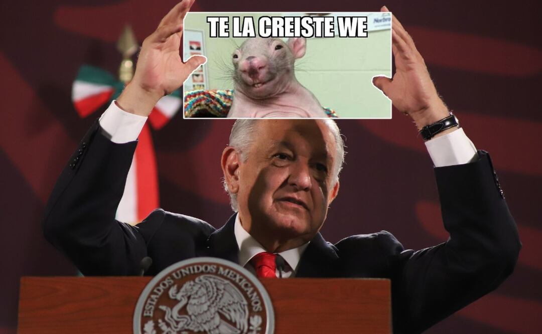 ¡Te la creíste! AMLO acepta que lo de DINAMARCA fue una MENTIRA para dar la nota