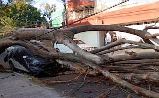 Fuerte sismo sacude la CDMX: 6.5 con epicentro en Guerrero