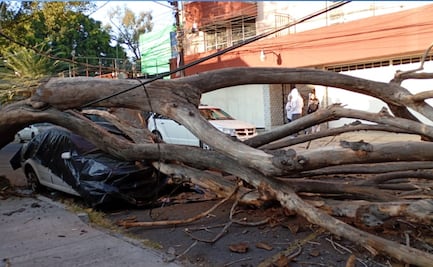 Fuerte sismo sacude la CDMX: 6.5 con epicentro en Guerrero